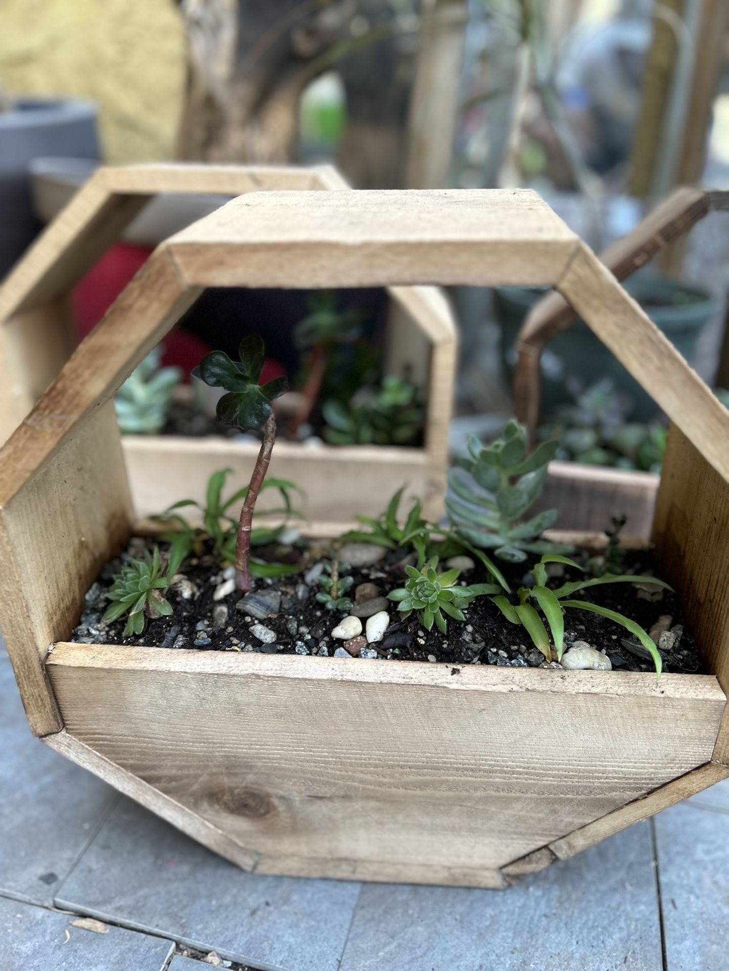 14 inch cedar succulent planter
