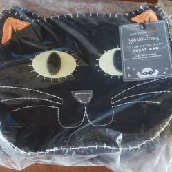 Pottery Barn Kids Glow in The Dark Kitty Felt Treat Bag