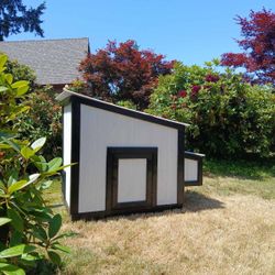 Chicken Coop