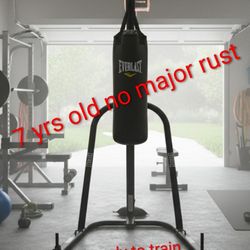 Can Deliver $75 Stand $35 Bag Everlast Heavy Bag Stand Optional Punching Bag