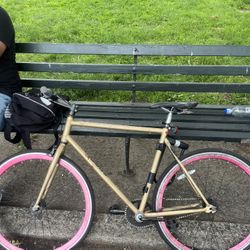 Single Speed Bike 
