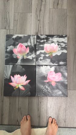 Pink Flower Photos (4 Piece Set)