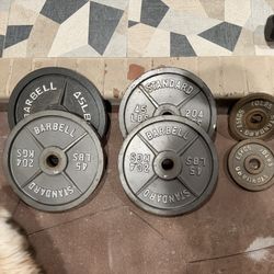 Cast Iron Olympic Weight Plates