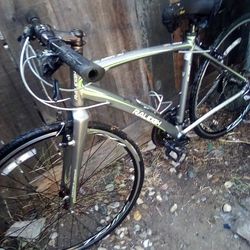 Raleigh, 700 Series ,Alysa Model