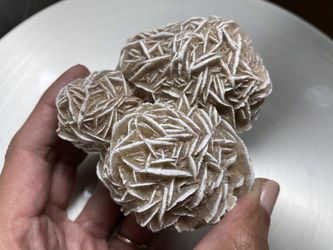 DESERT ROSE SELENITE