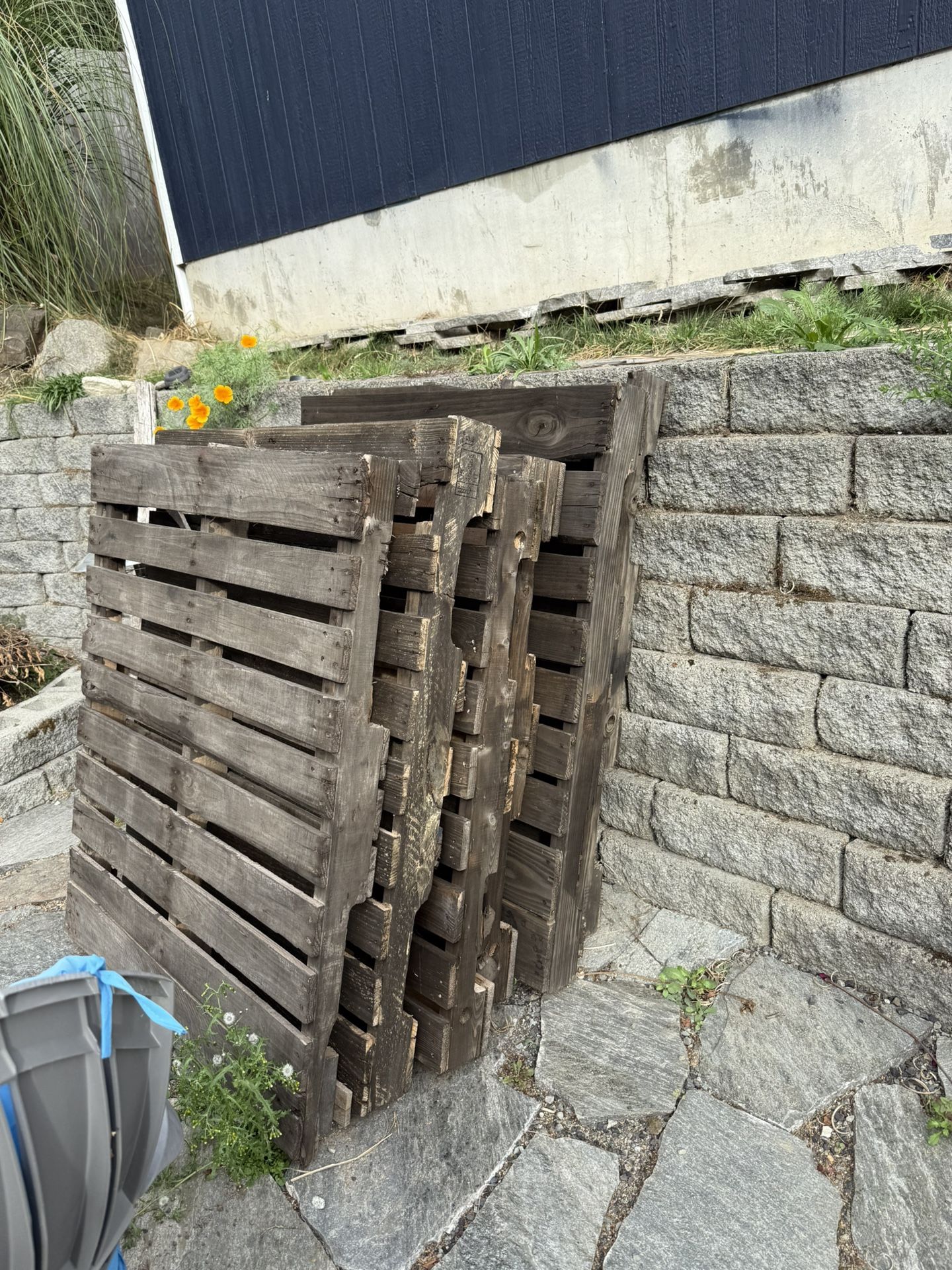 5 Pallets - Stained - Free