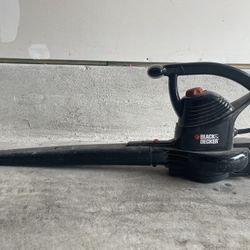 Leaf blower