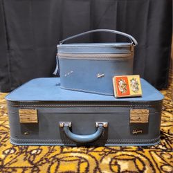 Vintage Skyway Luggage 