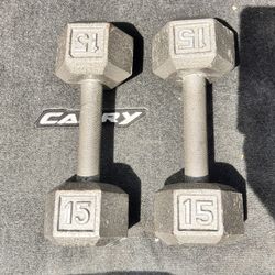 TWO SOLID DUMBBELLS 15 LB EACH ONE FOR SALE 