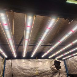 4x4 Horticulture LED grow light