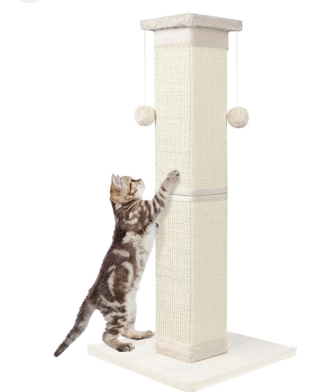 Cat Scratching Post New