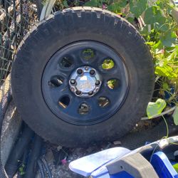 Rims 