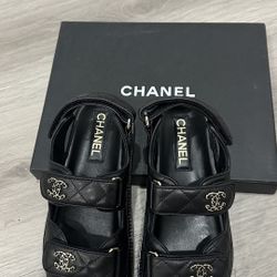 Luxury Shoe