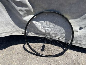 29” Rear Wheel 10x141