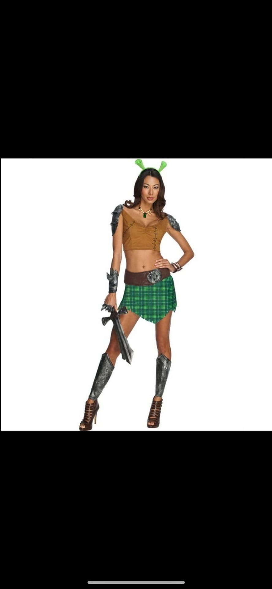 Halloween Costume : Shrek : Princess Fiona Warrior