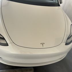 Model Y White On Blk 