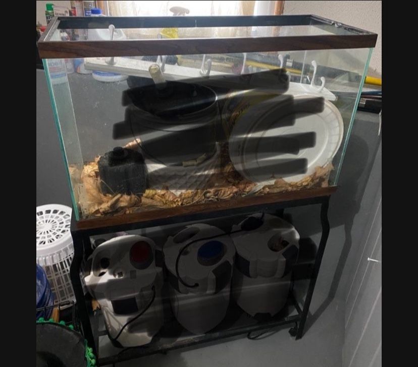 30 gal fish tank W / stand
