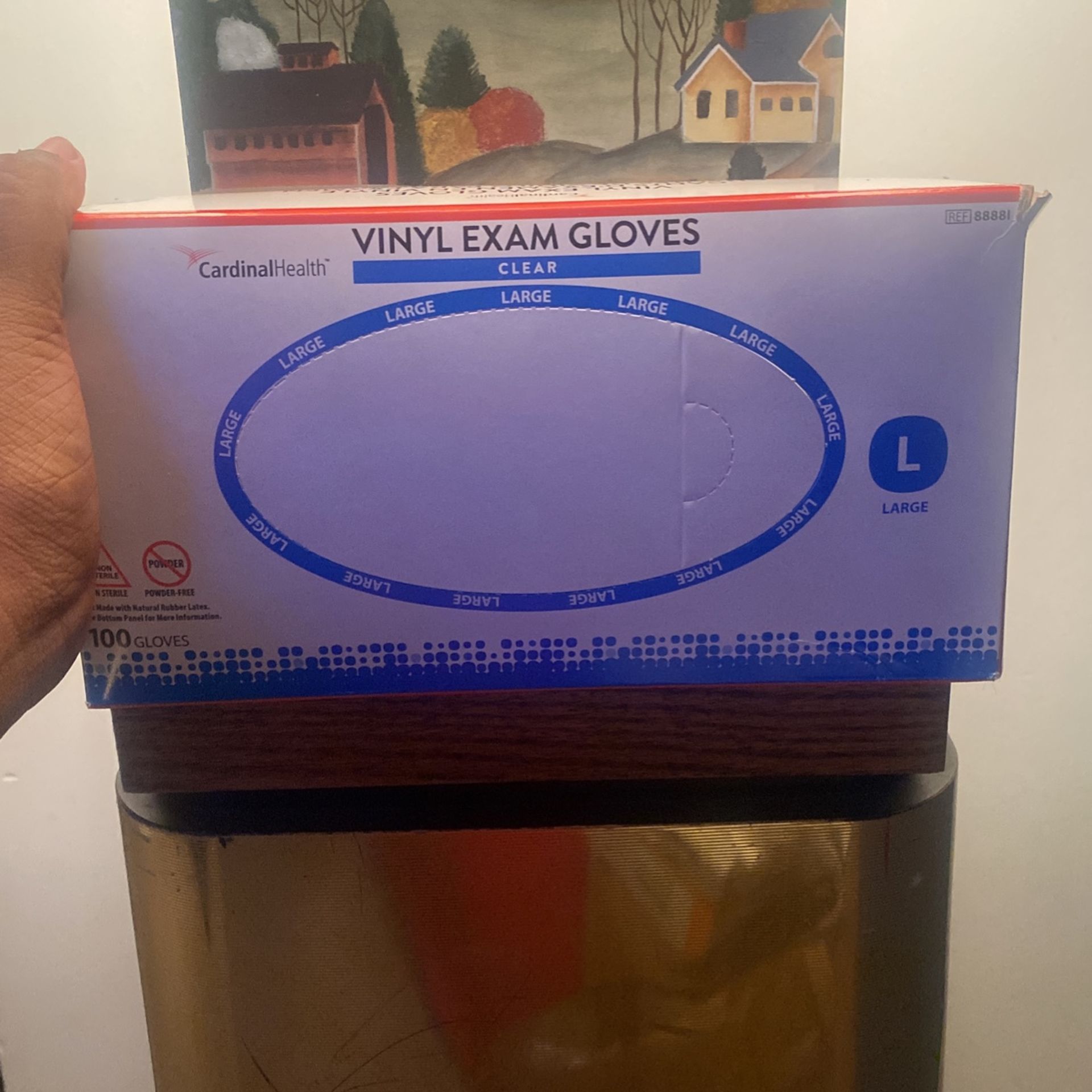 Medical Supply: Vinyl Exam Gloves