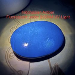 Indonesian Genuine Amber Palm 25g AUTHENTIC RARE HIGHLY FLUORESCENT