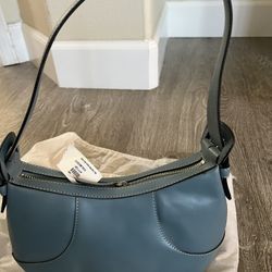 Colehan Blue Purse