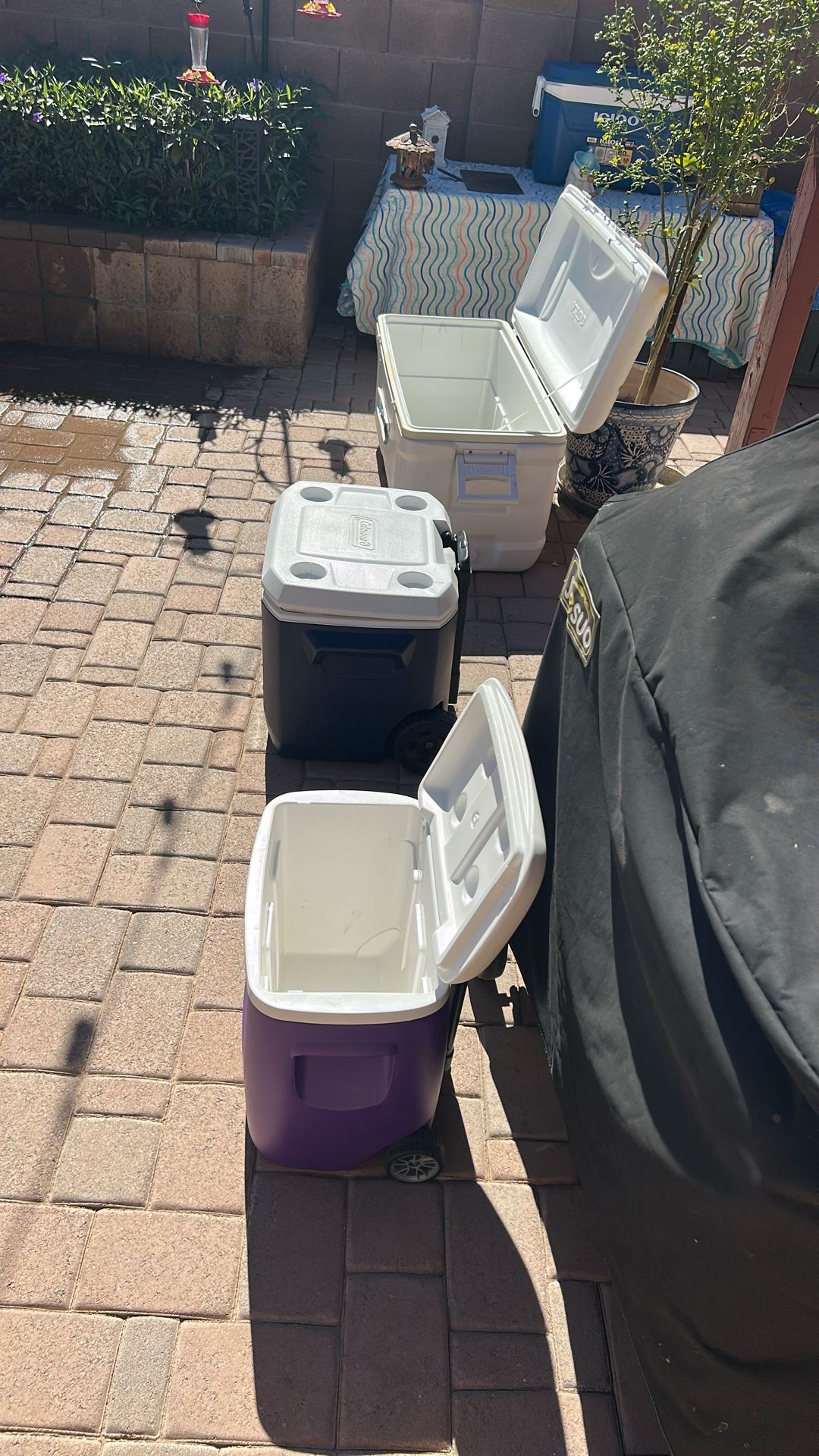 Set of 3 Coolers – 2 Igloo + 1 Coleman