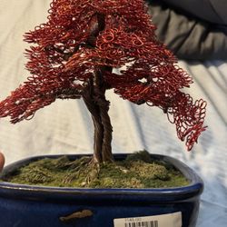 Stones And Bonsai