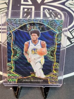 James Wiseman RC Elephant print