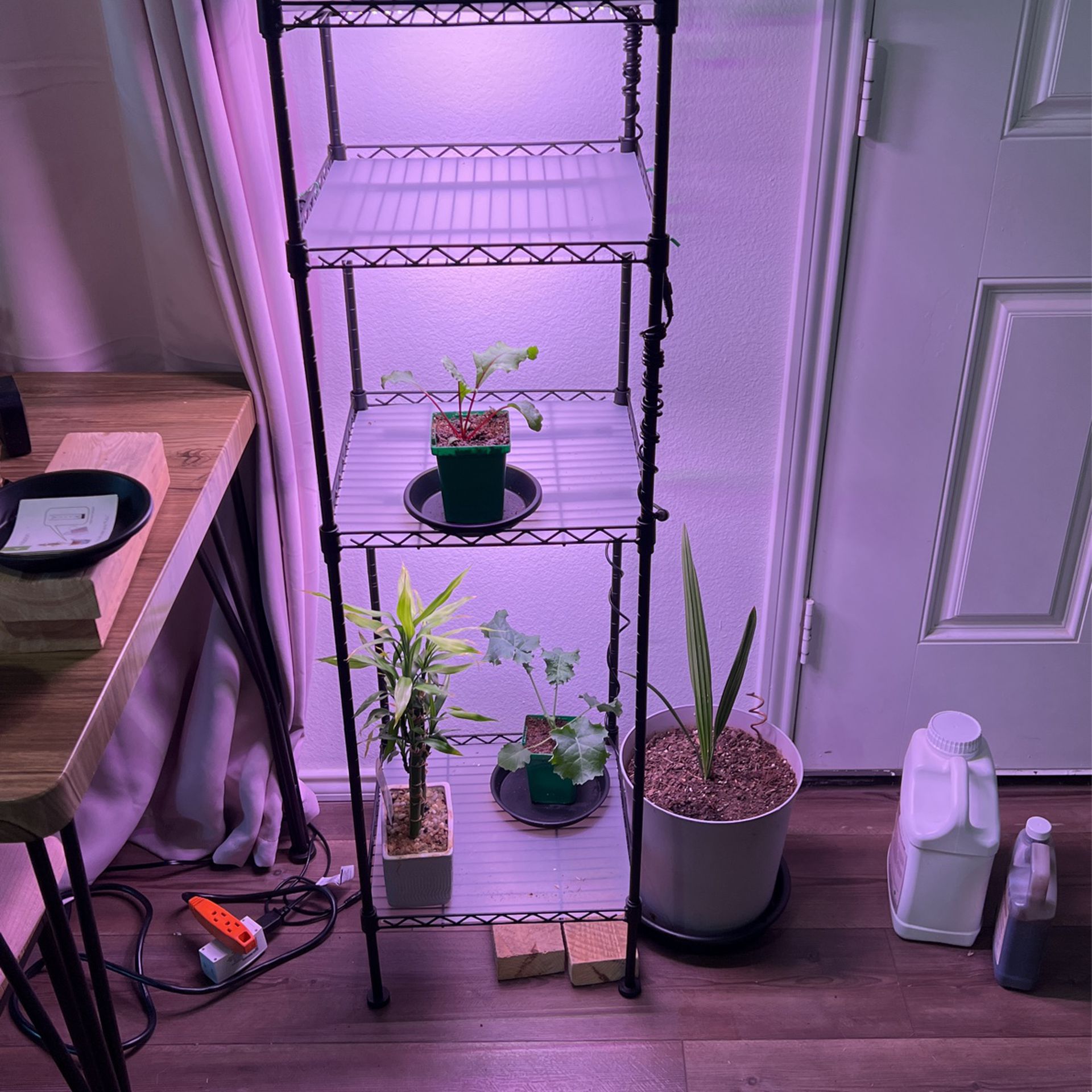 Plant Grow Light Three Levels.