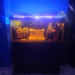 90 Gallon Aquarium 