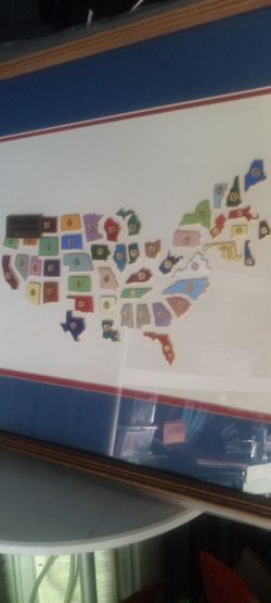 U S.A MADE FROM ALL THE  STATE PINS IN A FRAME 