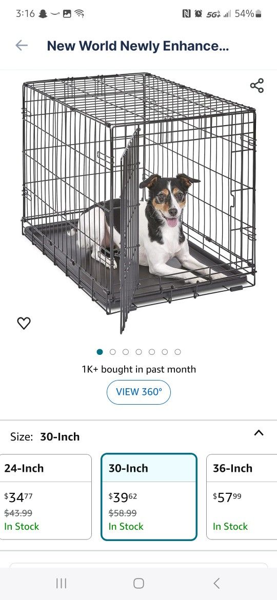 Small Dog Create