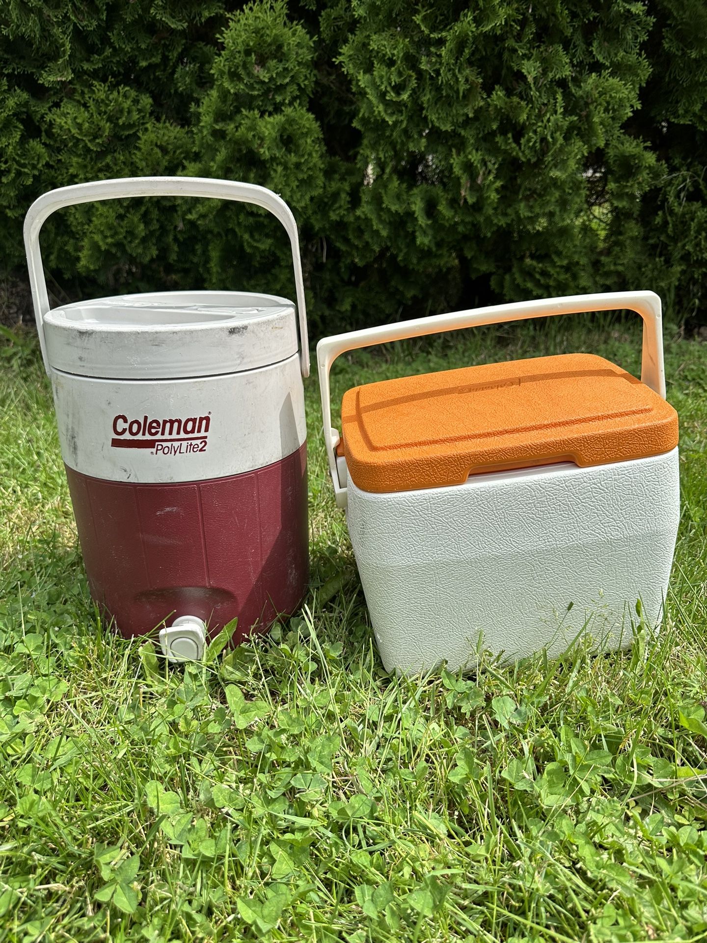 Coleman Coolers