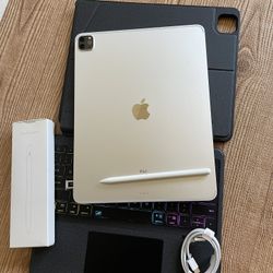iPad Pro 12.9” (M1 chip / 2021) 5th Generation 1TB Memory WiFi + 5G cellular with pen  & keyboard (2TB $1090) 