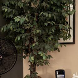 Weeping Artificial Tree