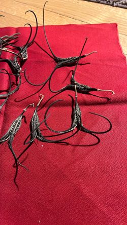 Devils Claw For Art Or Arrangements 