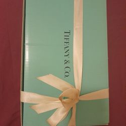 NEW Tiffany & Co. Champagne Flutes
