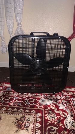 Fan