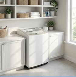 Panda portable washer