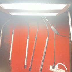 Grow Lights Plus Plants