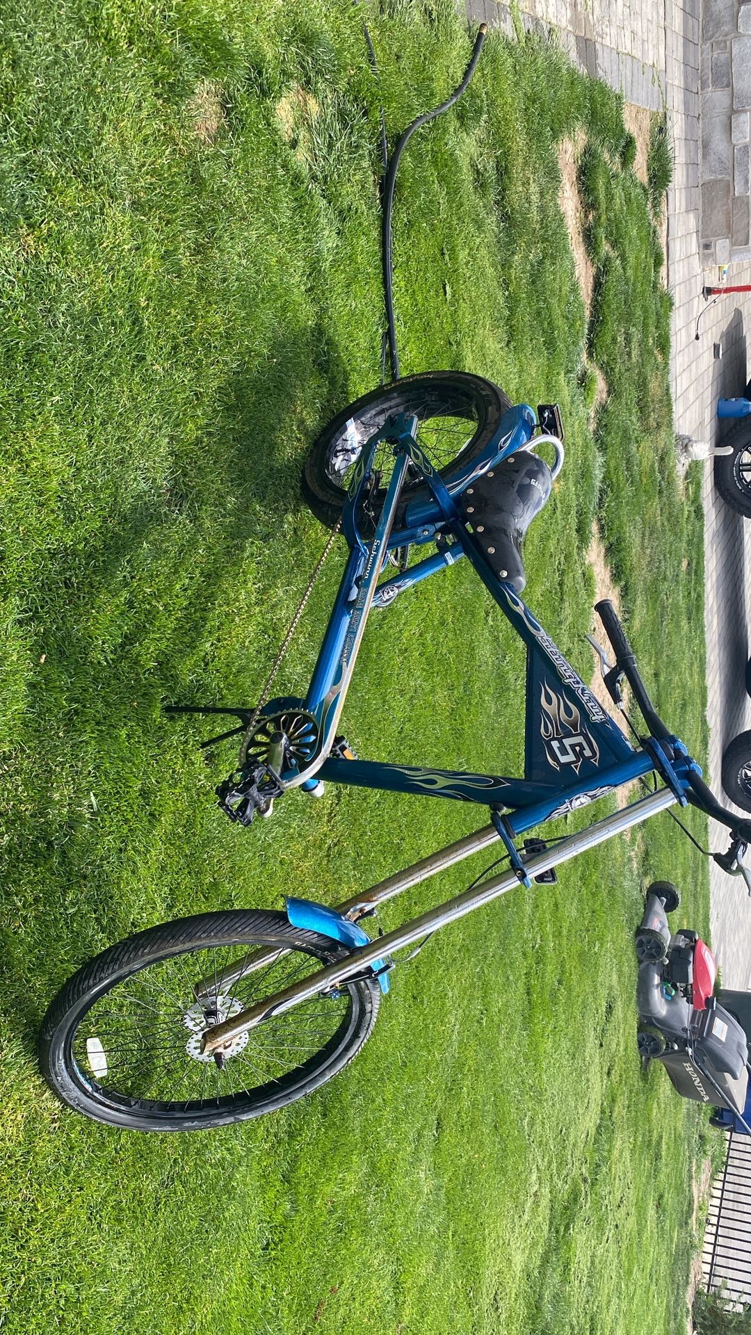 adult shwinn chopper