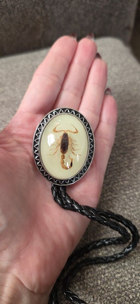 New Scorpion Bolo Tie It Glows At Night Shipping Available 