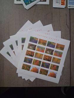 Autumn Colors