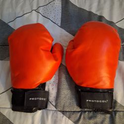 Boxing Gloves 6 Ounce 