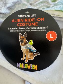 Dod Halloween costume
