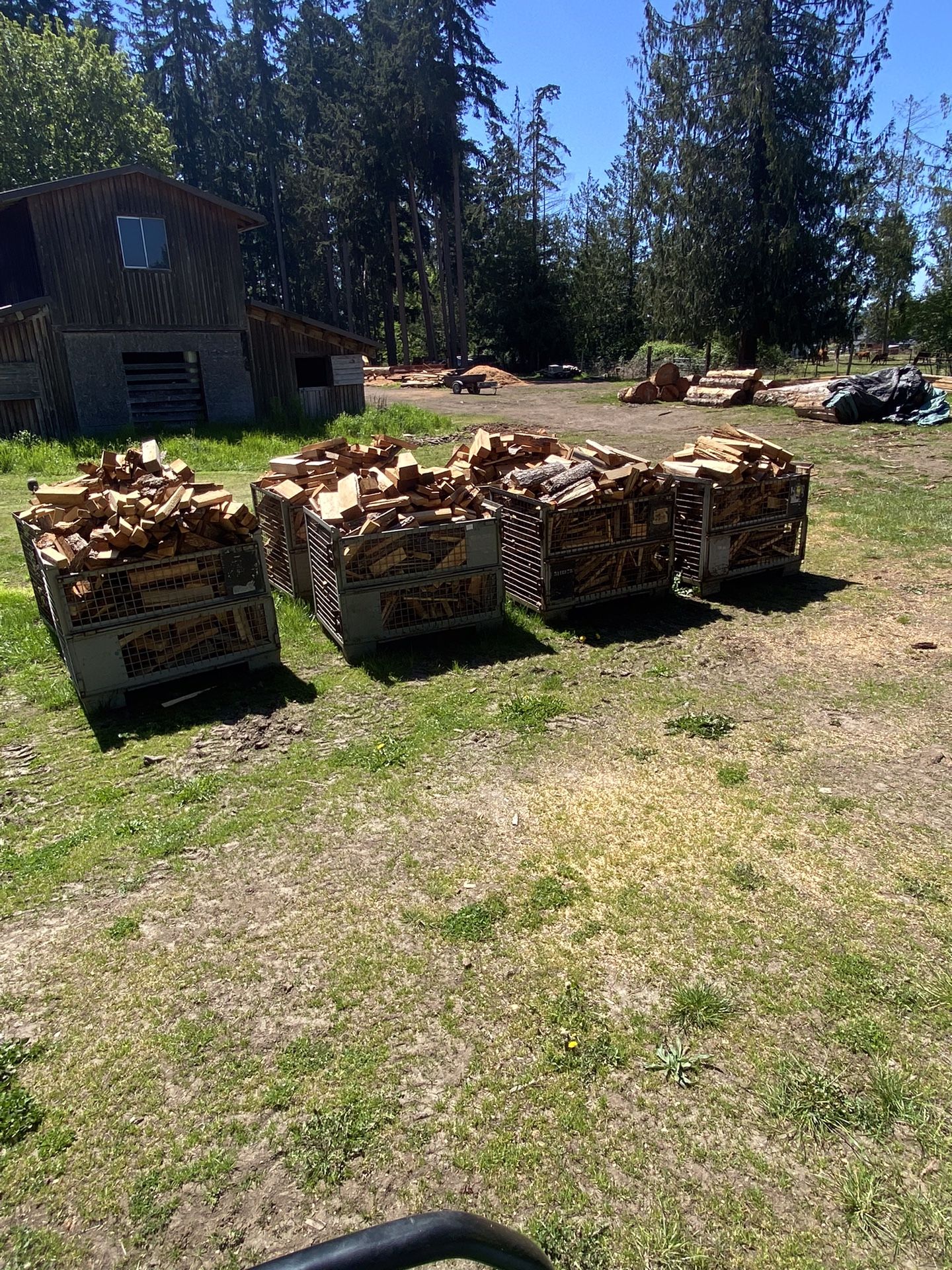 Campfire Wood