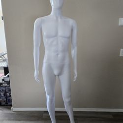 Excellent Condition Male Mannequin 