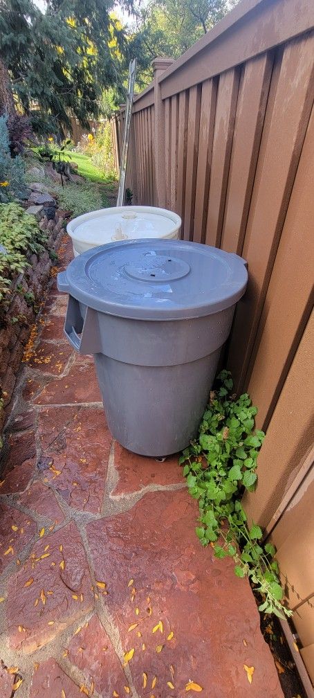 55 Gallon Drum Freshwater With Wheels