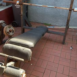 Weight Bench And Weights 