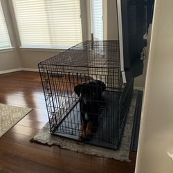 FREE Large Crate, Pick Up Only 