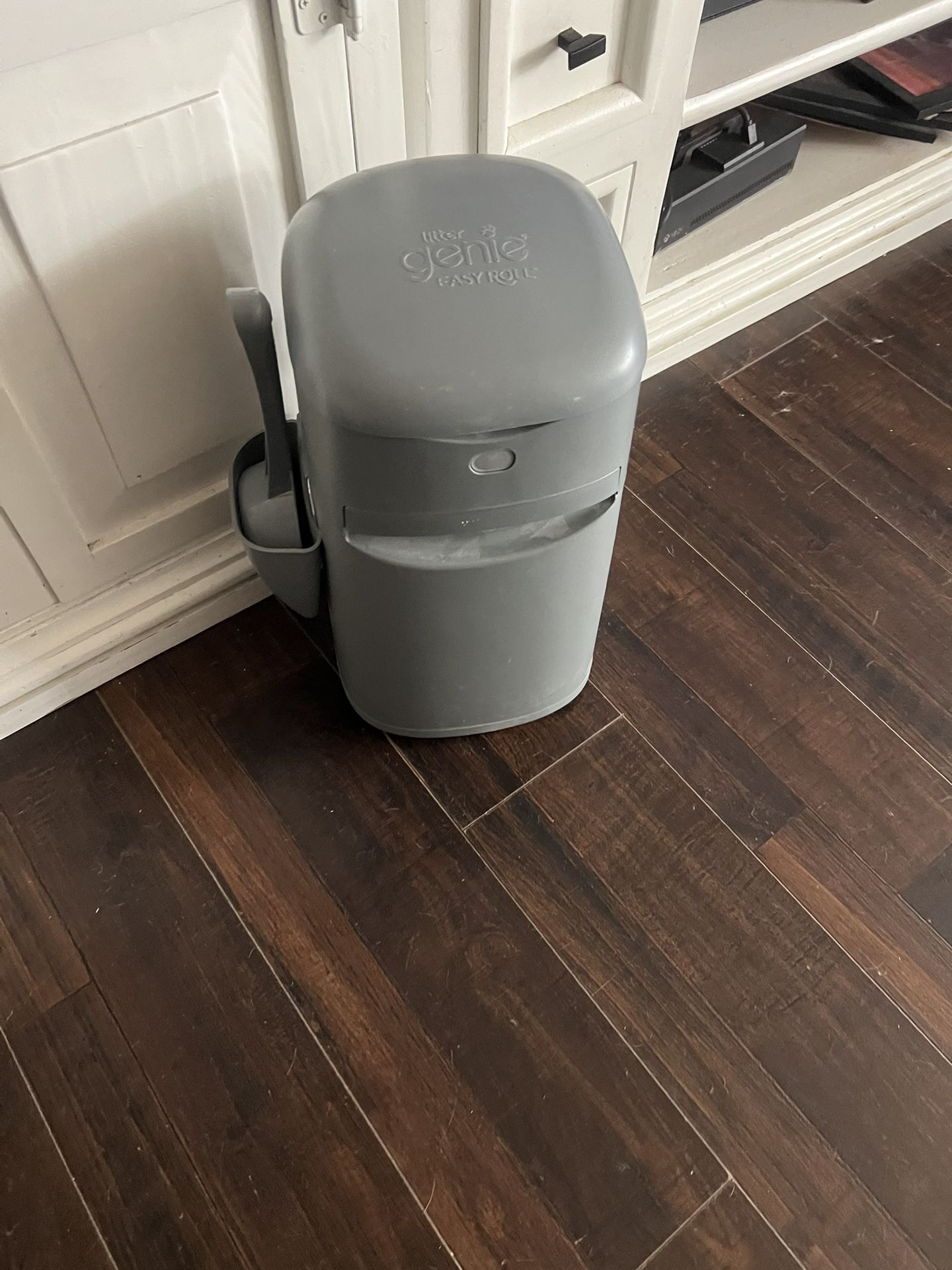 Cat Litter Disappears 